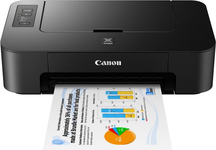 Actual product image Canon Pixma Ts205 (Ink, Colour)