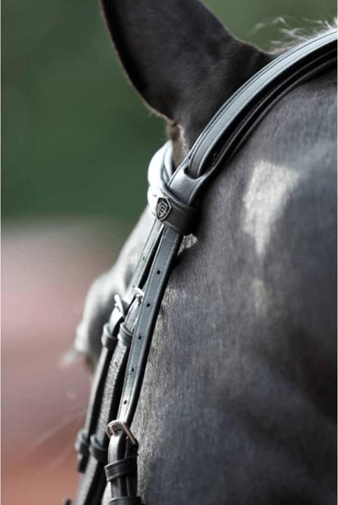 Produktbild Kerbl Trensenzaum Cancun schwarz, Pony