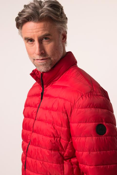 Produktbild Boston Park Steppjacke, Bauchfit, Stehkragen, bis 84/86 (68)