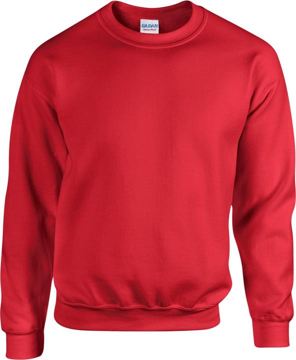 Gildan Sweatshirt (L)