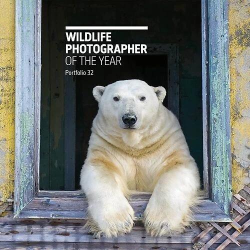 Produktbild Wildlife Photographer of the Year (Englisch, Rosamund Kidman Cox, 2022)