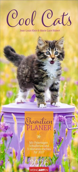 Produktbild Cool Cats Familienplaner 2026 (22 x 48 cm, Harter Einband, Deutsch)