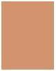 Actual product image L'Oréal Paris Infaillible 24H Fresh Wear Matte Bronzer (250 Light, Bronzer, 9 g)