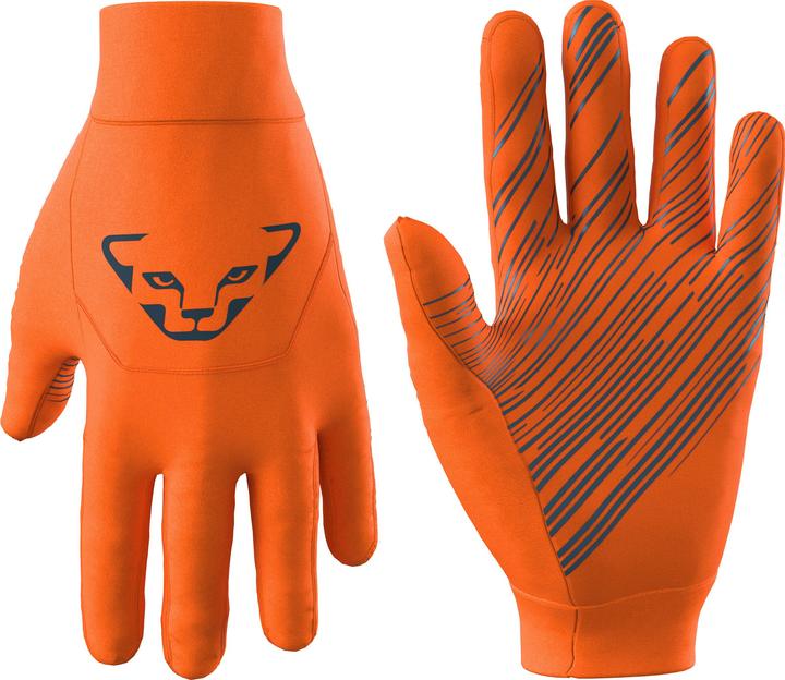 Produktbild Dynafit Upcycled Thermal Handschuhe (L)