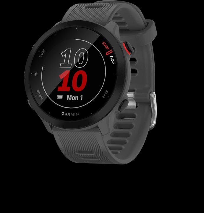 Produktbild Garmin Forerunner 55 (42 mm)