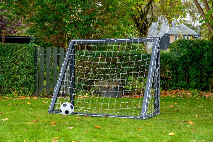 Actual product image Euro Play Homegoal Pro Mini - Sort