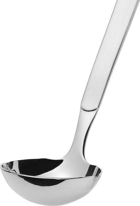 Actual product image Amefa Buffet dressing spoon (Serving spoon)