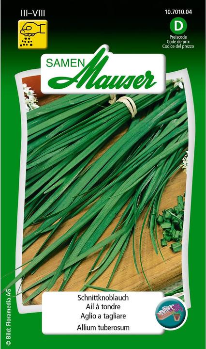 Actual product image Samen Mauser Chive garlic (Herb seeds)