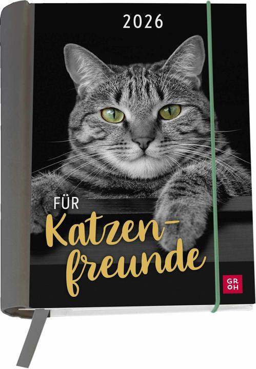 Book calendar 2026: For cat lovers (German)