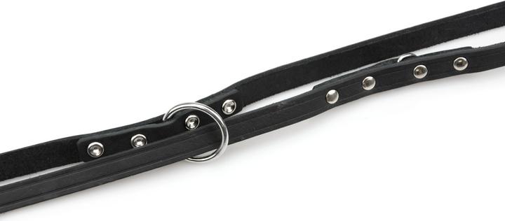 Actual product image Karlie Rodeo (M, Dog, Walks)