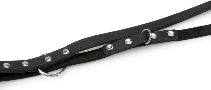 Actual product image Karlie Rodeo (M, Dog, Walks)