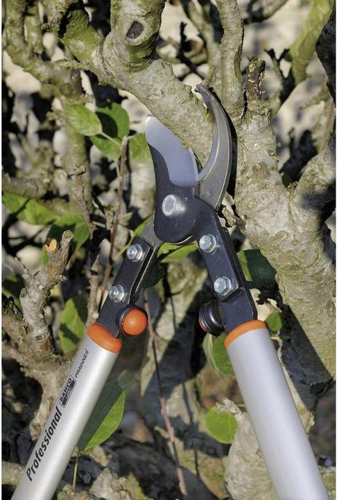 Actual product image Bahco Fruit tree lopping shears, P160-SL-75