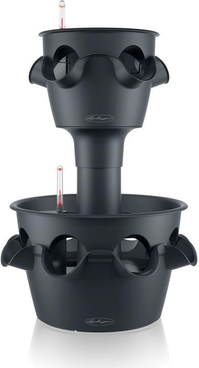 Lechuza 2er-Turm Cascada / Cascadino All in One