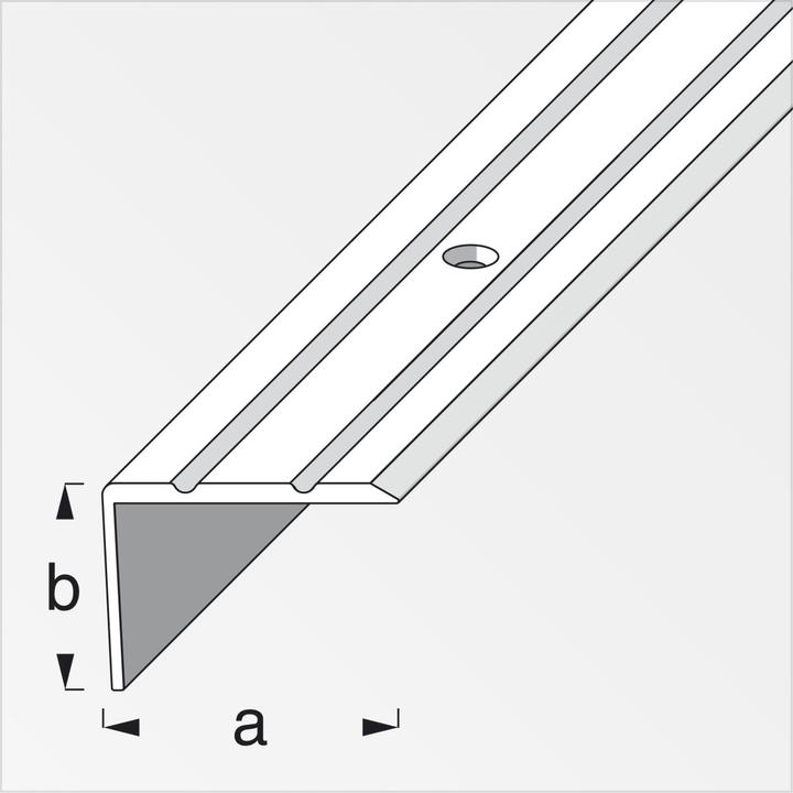 Image du produit Alfer Profilé pour escalier Alu perforé 1 m