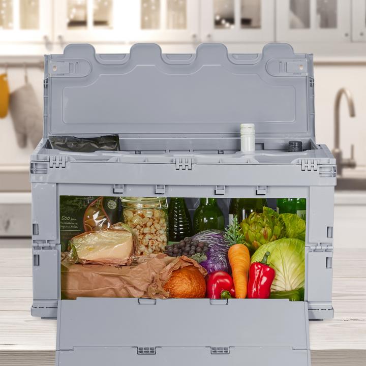 Actual product image Relaxdays Transport box (58.5 x 39.5 x 32.5 cm, 60 l)
