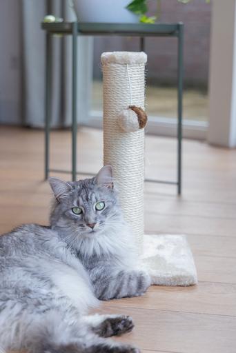 Actual product image Beeztees Bz Cat Tree Gina Mini Beige 3 (45 cm, Beige)