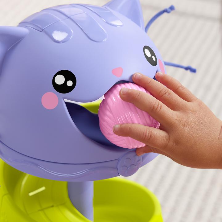 Image du produit Fisher-Price FP Pets Tour de balle parfaite Jouets éducatifs pour bébés et jeunes enfants