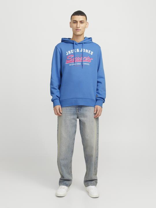 Immagine prodotto Jack & Jones JJELOGO SWEAT HOOD 2 COL 24/25 NOOS (XL)