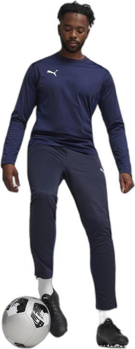 Actual product image Puma teamGOAL Training Pant (L)