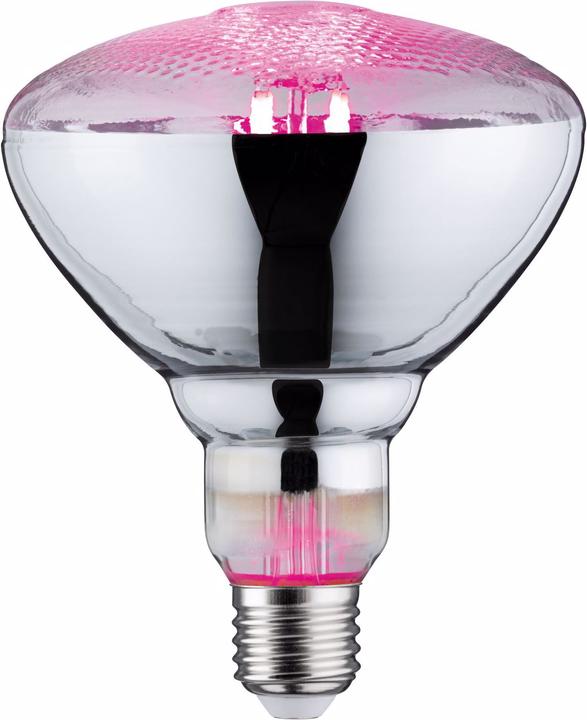 Image du produit Paulmann Lampe pour plantes Grow Green PAR38 (LED, 230 V)