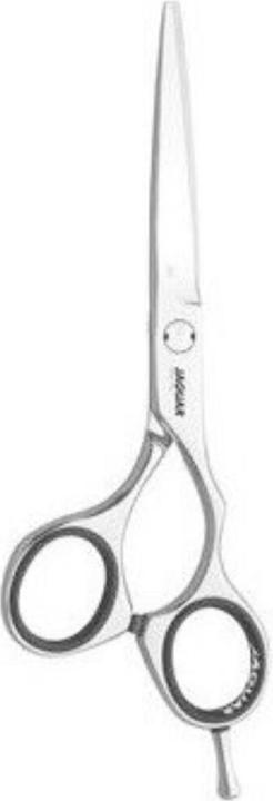 Image du produit Jaguar Silver Line CJ3 6,0 Ciseaux à cheveux (15.24 cm)