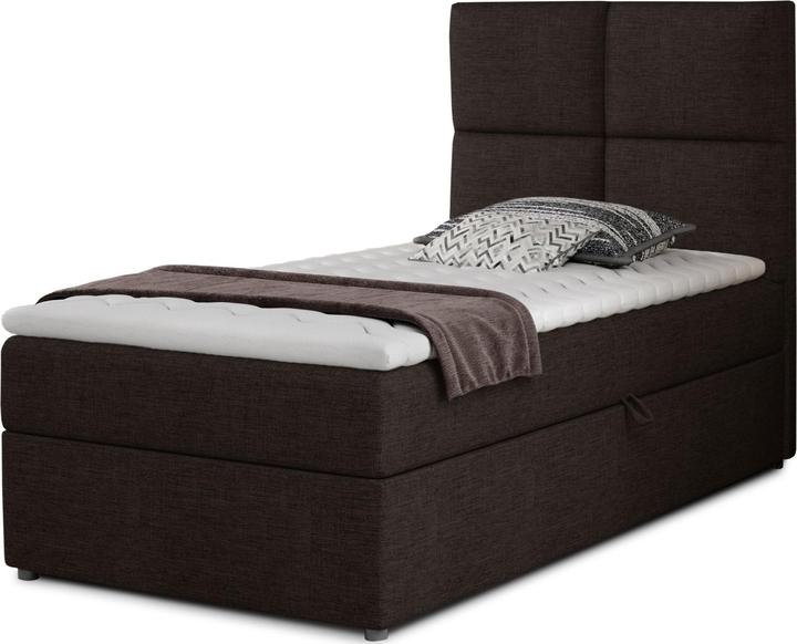 Dark Brown Sawana 26