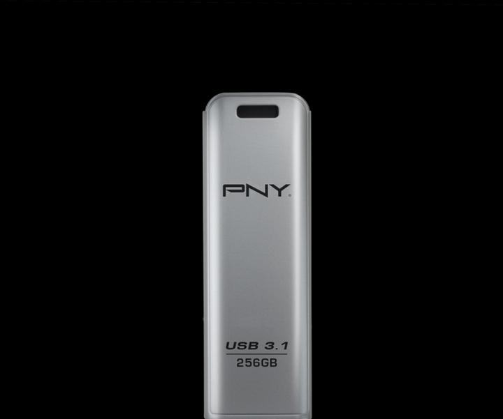 Immagine prodotto PNY Elite Steel (256 GB, USB-A)