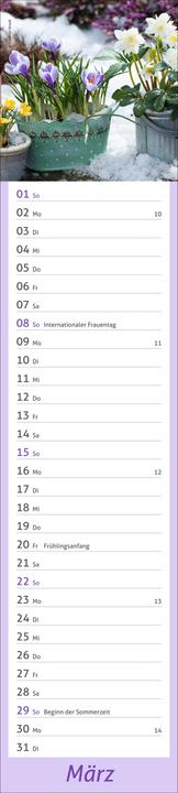 Actual product image times&more Garten Langplaner 2026 (Hardcover, German)