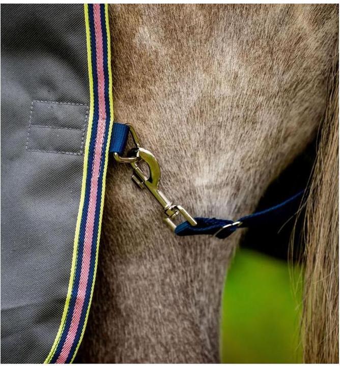 Produktbild Horseware Weidedecke Amigo Bravo-12 TO Lite (140 cm)