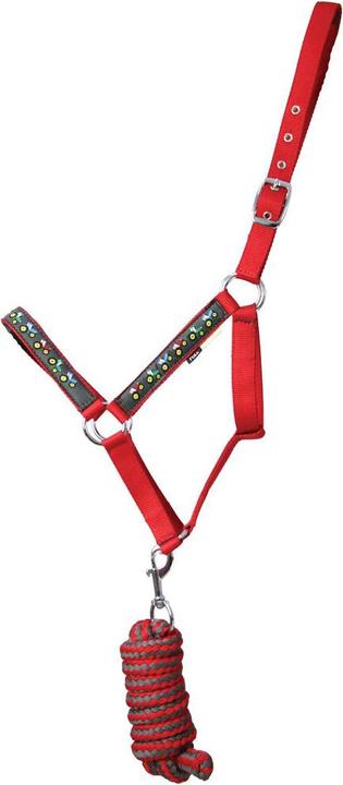 Immagine prodotto Little Set di cavezza e guinzaglio per cavalli