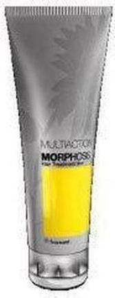 Image du produit Framesi Masque Morphosis Multiaction