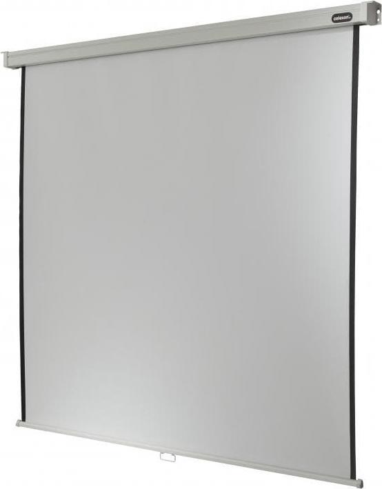 Image du produit Celexon Manuel Professional Plus Business Format (92.91", 16:10)