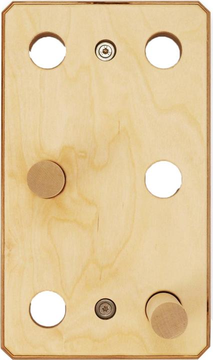 Produktbild Antworks Ant Hill Pegboard