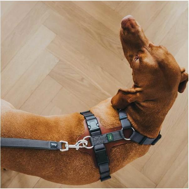 Image du produit Hunter Harnais Aalborg cuir mixte polyester (XS, S, Chien, Général)