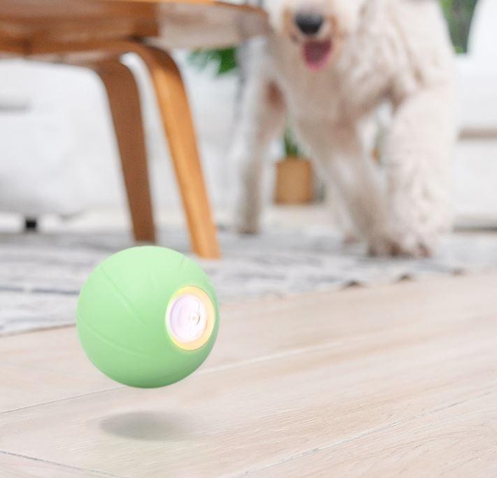 Produktbild Cheerble Interactive Pet Ball (Ballspielzeug Hund)