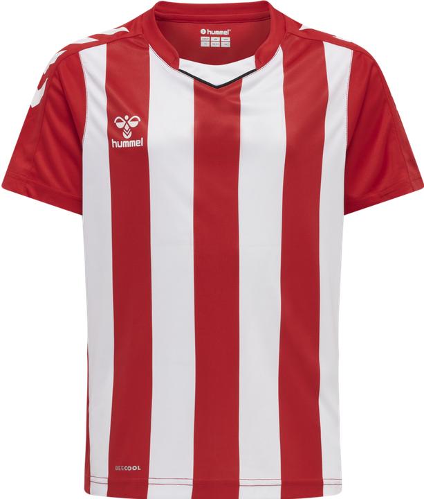 Actual product image hummel Core Xk Striped Jersey Kids S/S (140)