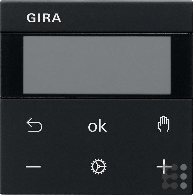 Actual product image Gira RTR Display 5393005