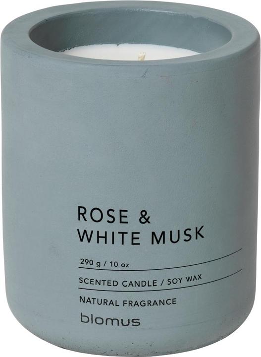 Roses, Musc blanc