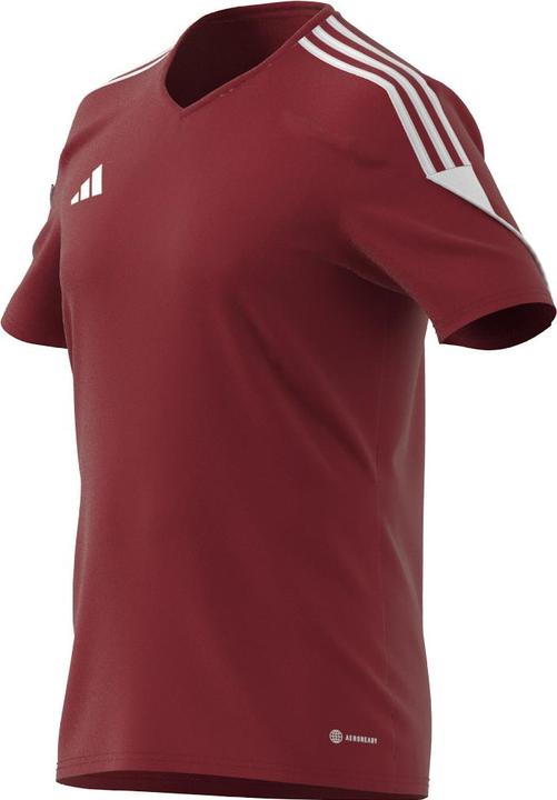 Actual product image adidas Tiro 23 Jersey Men (XS)