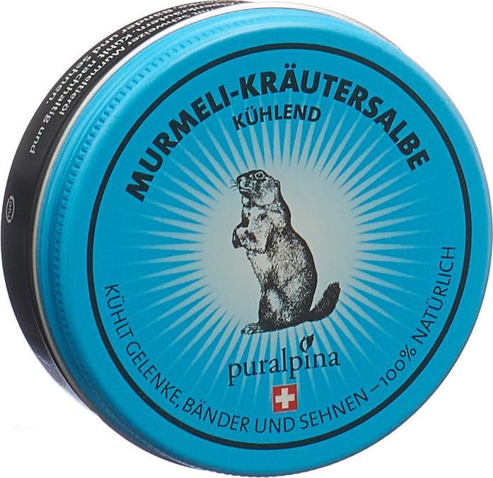 Produktbild Puralpina Murmeli-Kräutersalbe kühlend (1 x, 50 ml, 70 g)