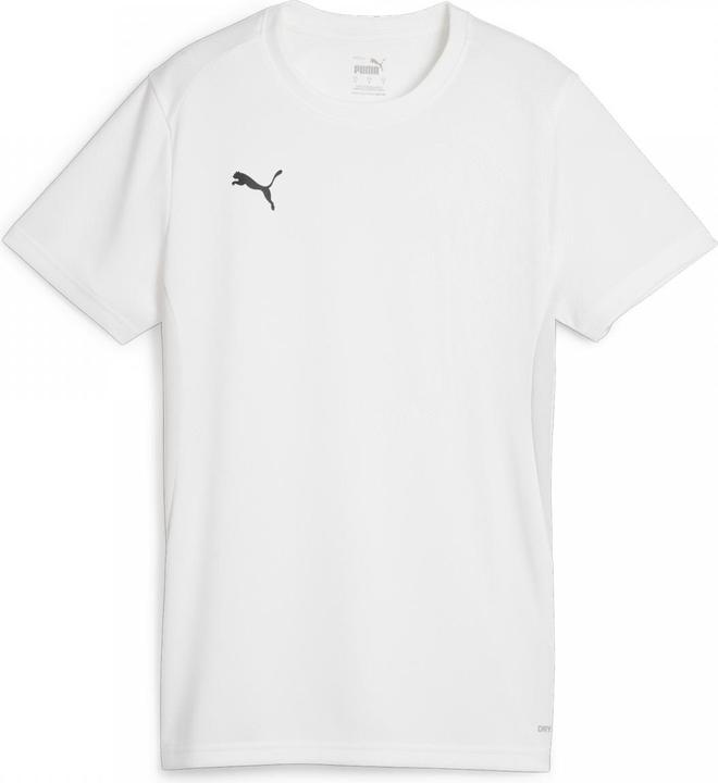 Image du produit Puma teamGOAL Jersey Wmn (M)