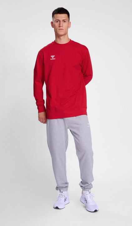 Immagine prodotto hummel FELPA HMLGO 2.0 (M)