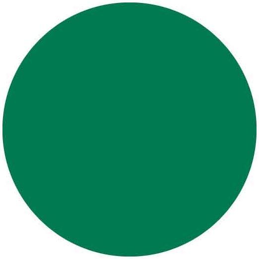 Actual product image Brady Paper labels on roll, green, 38 mm diameter, round (500 pcs.)