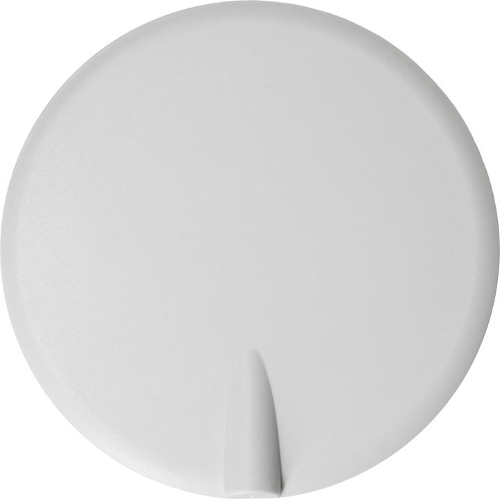 Max Hauri Deckenrosette