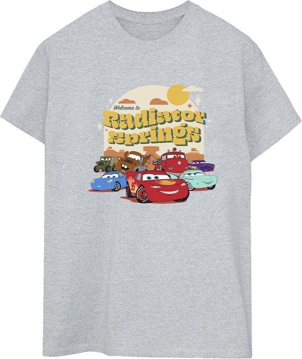 Disney Cars Radiator Springs Group TShirt (XXL)