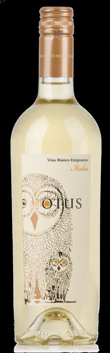 Produktbild Mondo del Vino ASIO OTUS Chardonnay Sauvignon blanc Vino d'Italia (1 x 75 cl)