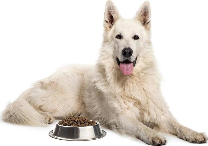 Image du produit Sollis Nourriture sèche pour chien Boeuf Angus 12kg (Adulte, 1 pcs, 12000 g)