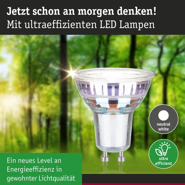 Actual product image Paulmann Reflector Eco-Line (GU10, 2.50 W, 450 lm, 1 x, A)