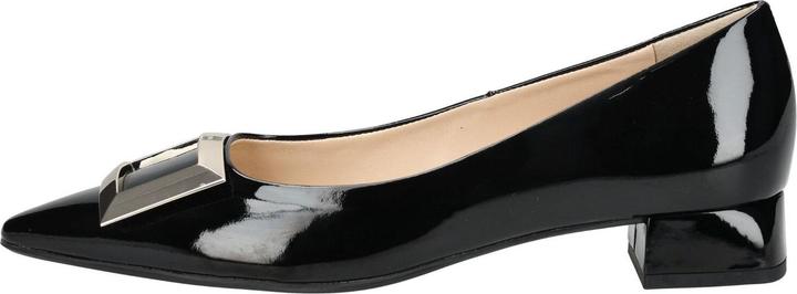 Image du produit Högl Pumps (39)