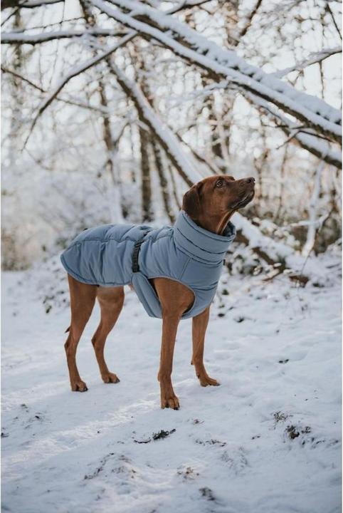 Produktbild Hunter Dogcoat Paxson 45, blue - (203463) (45, Hundemantel)